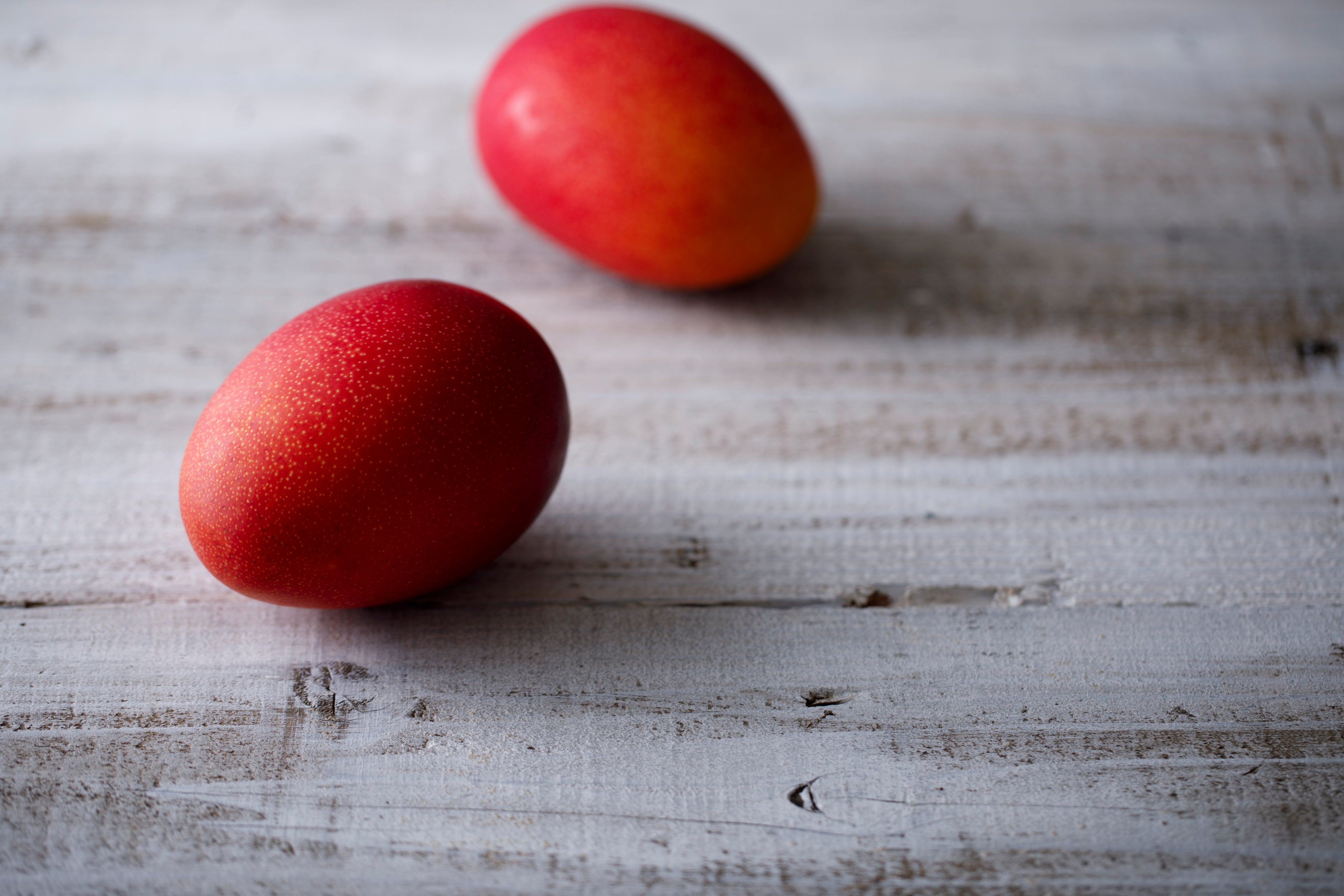 4月のずるいゼリー販売中