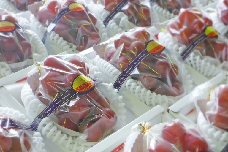 〈2025年〉ルビーロマン