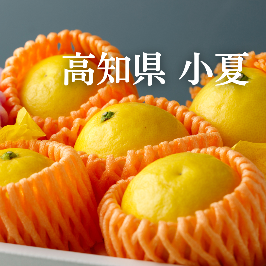 みやざきマンゴーと小夏