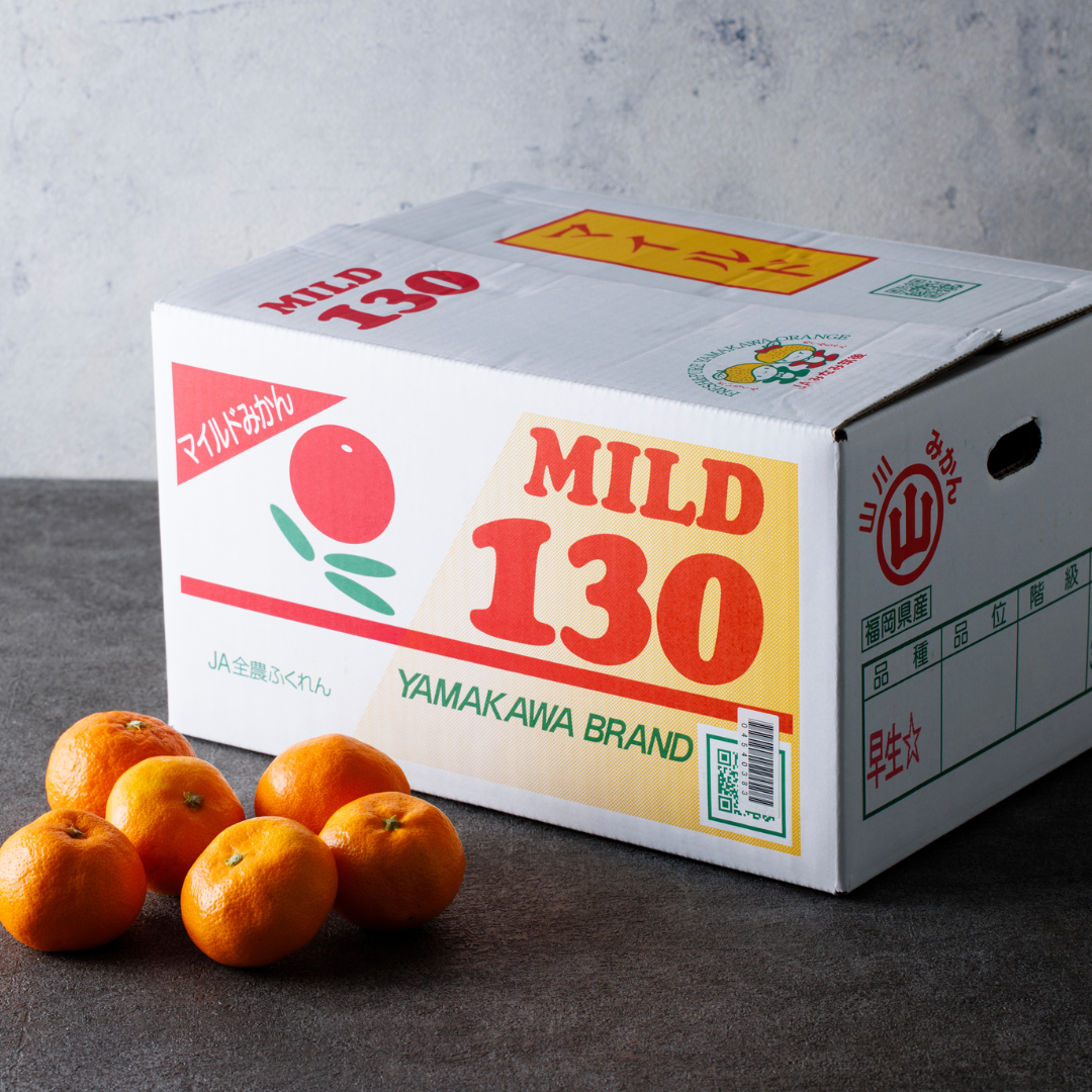 2024 山川みかんマイルド130