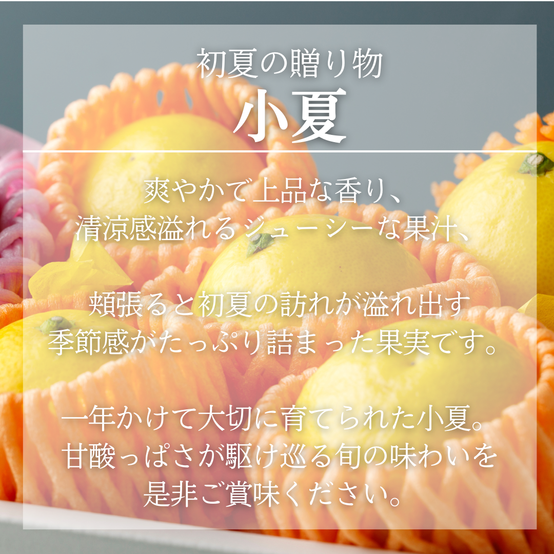 みやざきマンゴーと小夏