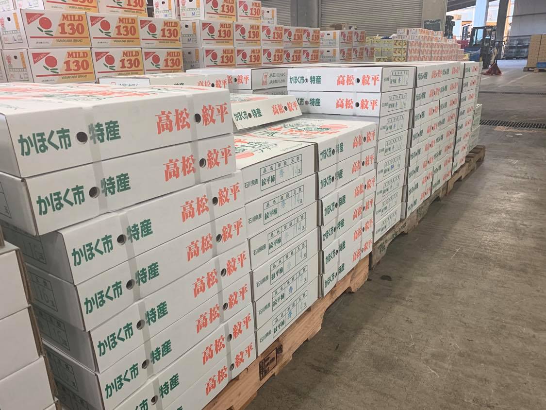 2025年産 石川県産 高松紋平柿の販売