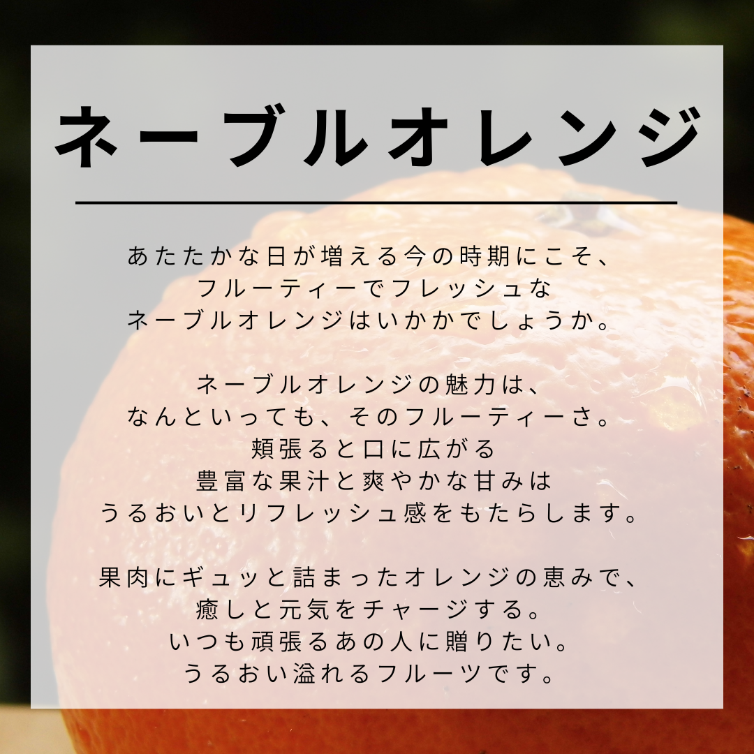 【期間限定】 厳選7種のフルーツギフト
