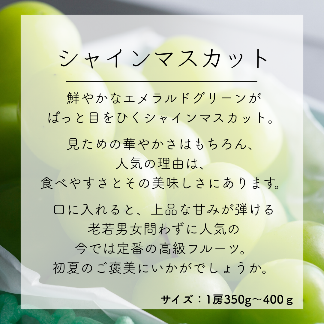 シャインマスカット&高品質メロンのセット