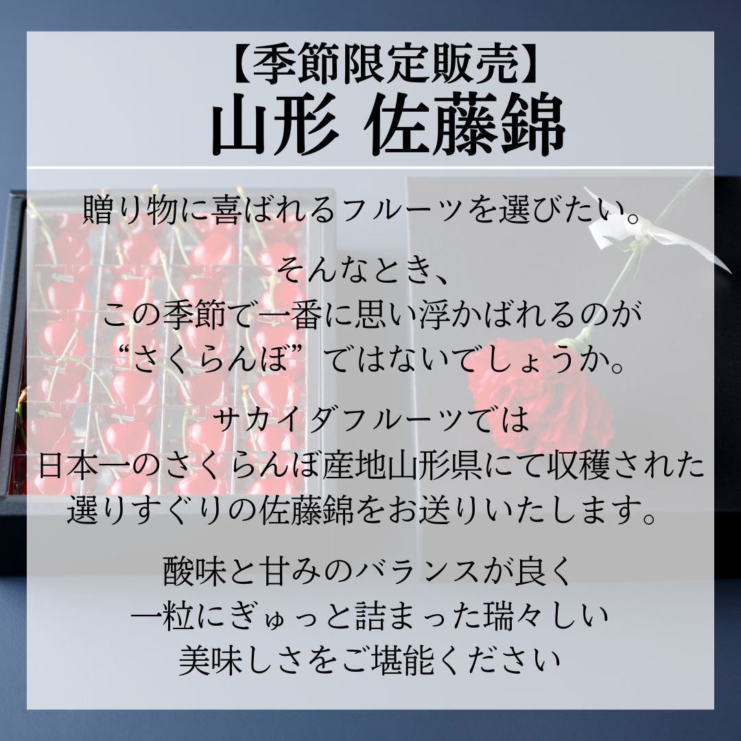 山形県産 佐藤錦 さくらんぼ