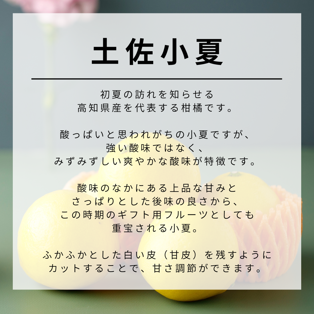 【期間限定】 厳選7種のフルーツギフト