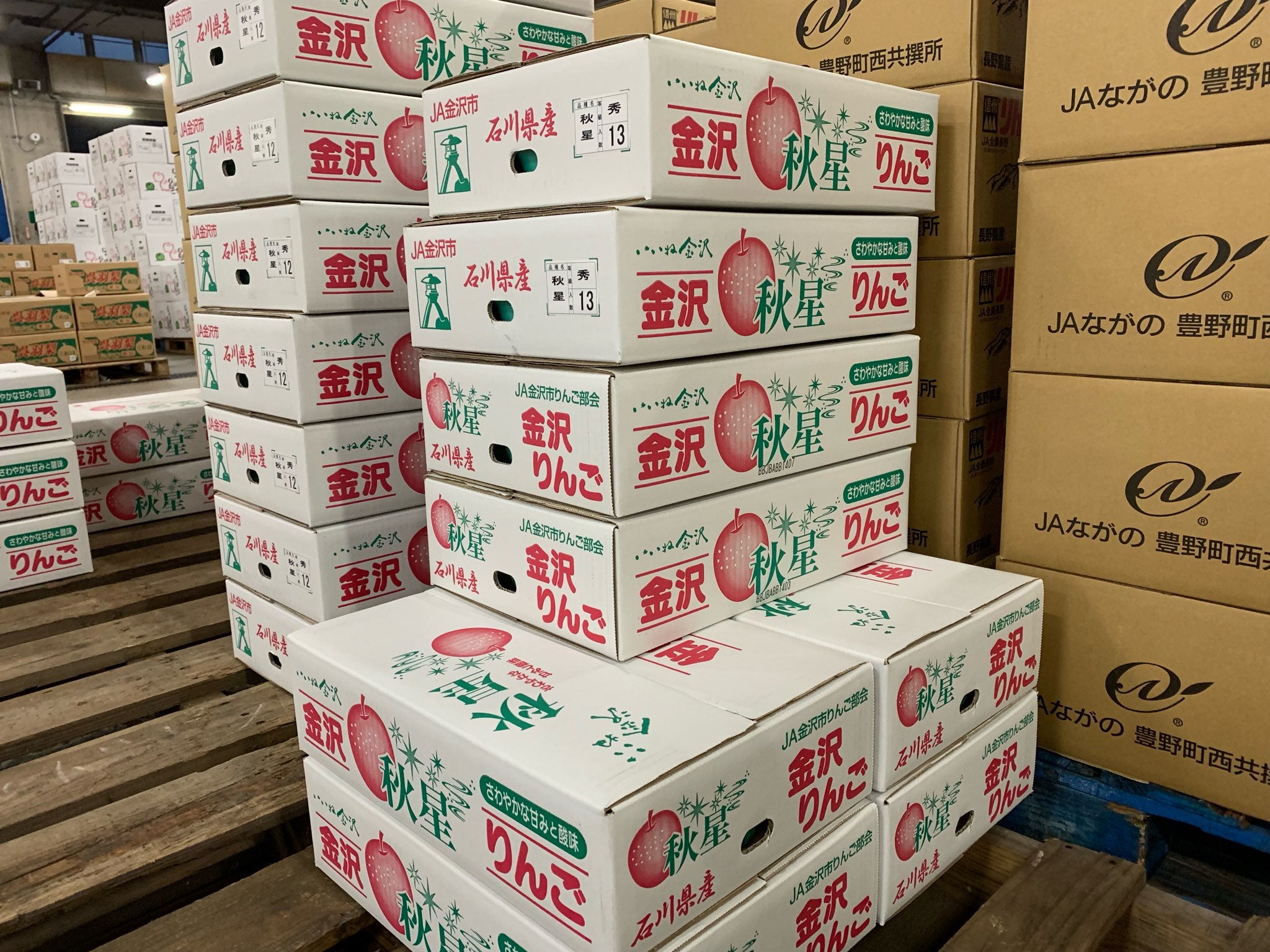 2025年度産 石川県産秋星りんご