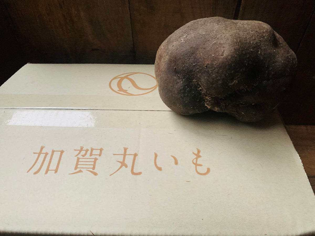 石川県産 加賀丸いも(能美市産) 3kg