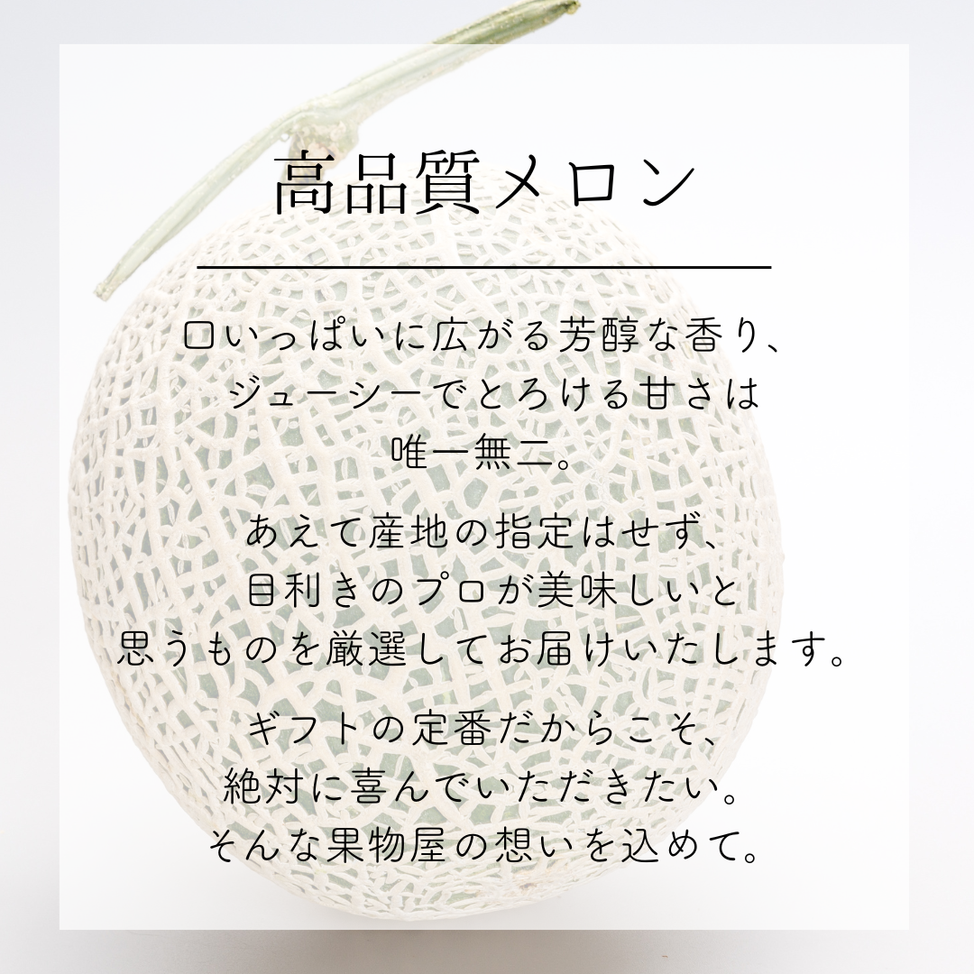 シャインマスカット&高品質メロンのセット