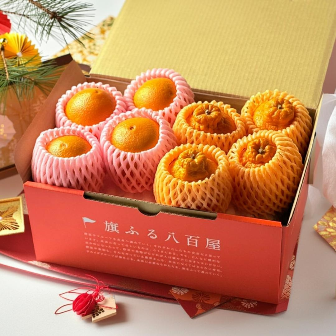 高級柑橘二種盛り