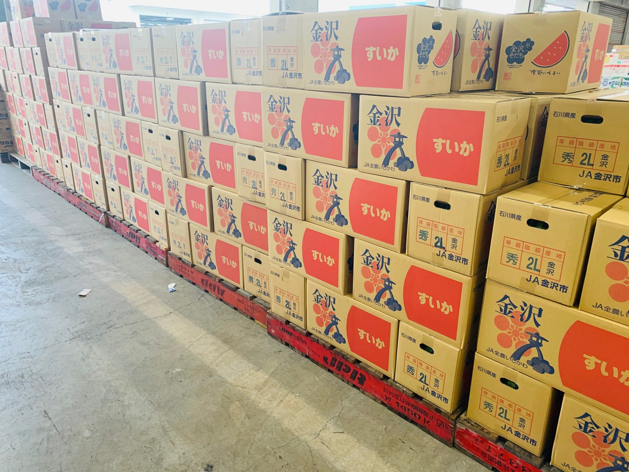 金沢そだちの金沢すいか(大玉すいか)のお取り寄せ販売 Lサイズ以上