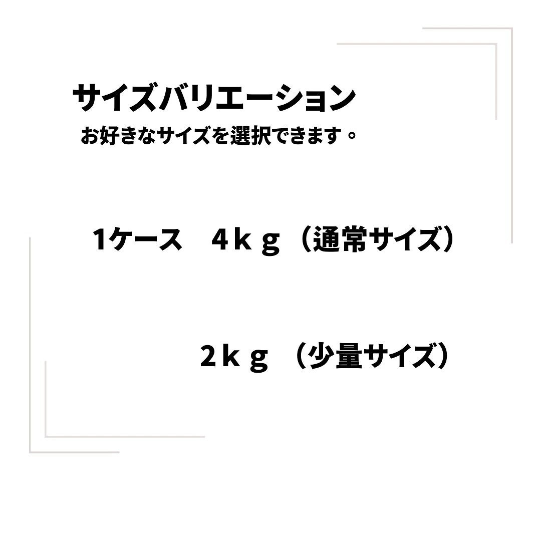 【早味かん】 福岡県産 極早生みかん