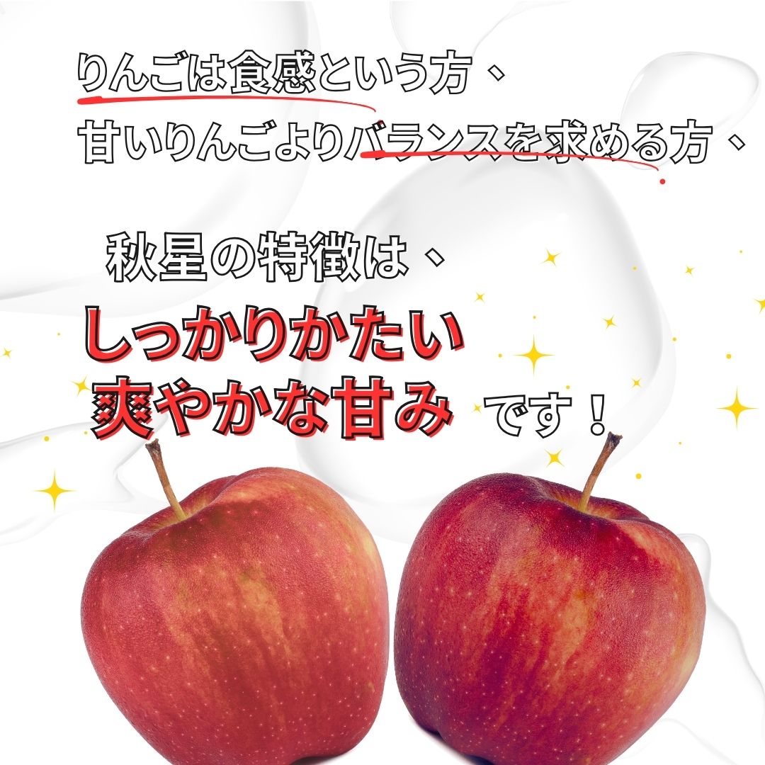 2026年度産 石川県産秋星りんご
