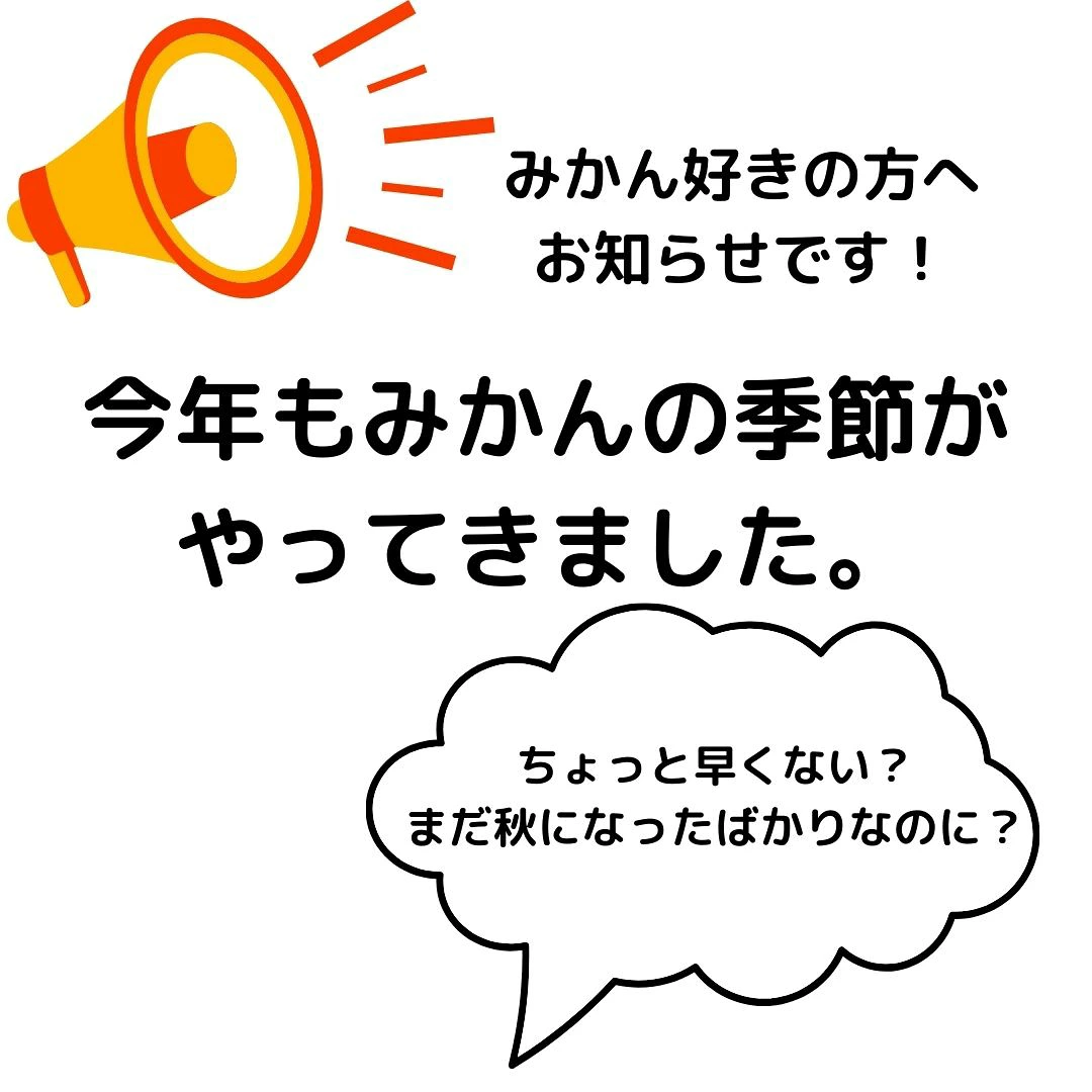 【早味かん】 福岡県産 極早生みかん