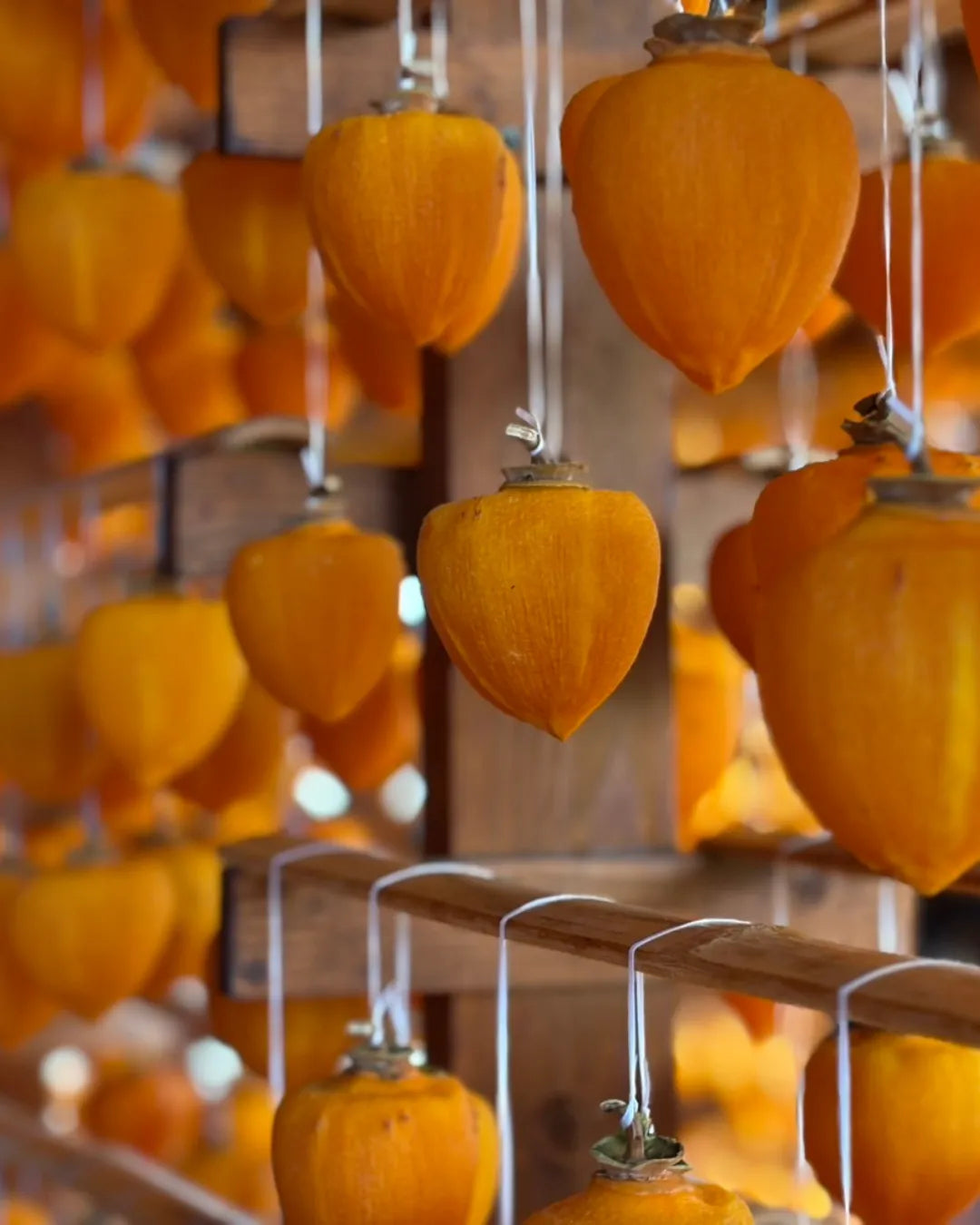石川県産 能登産ころ柿
