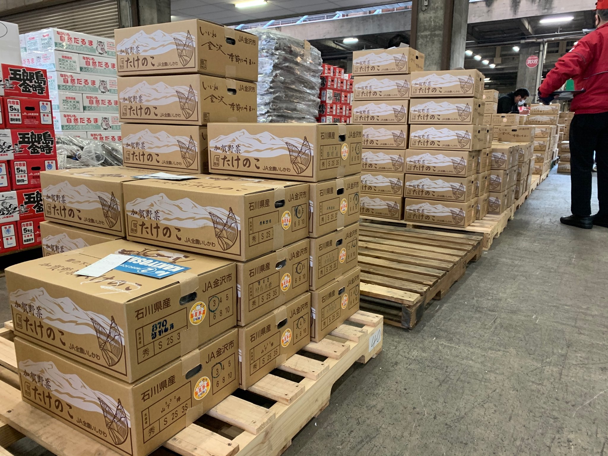 【加賀野菜】石川県金沢市産 たけのこ