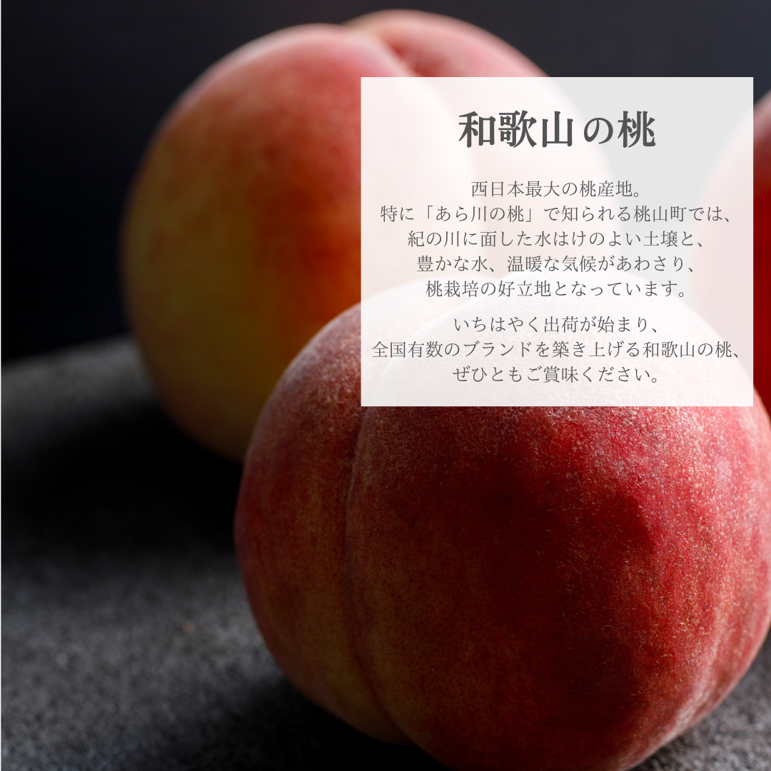和歌山県産 桃