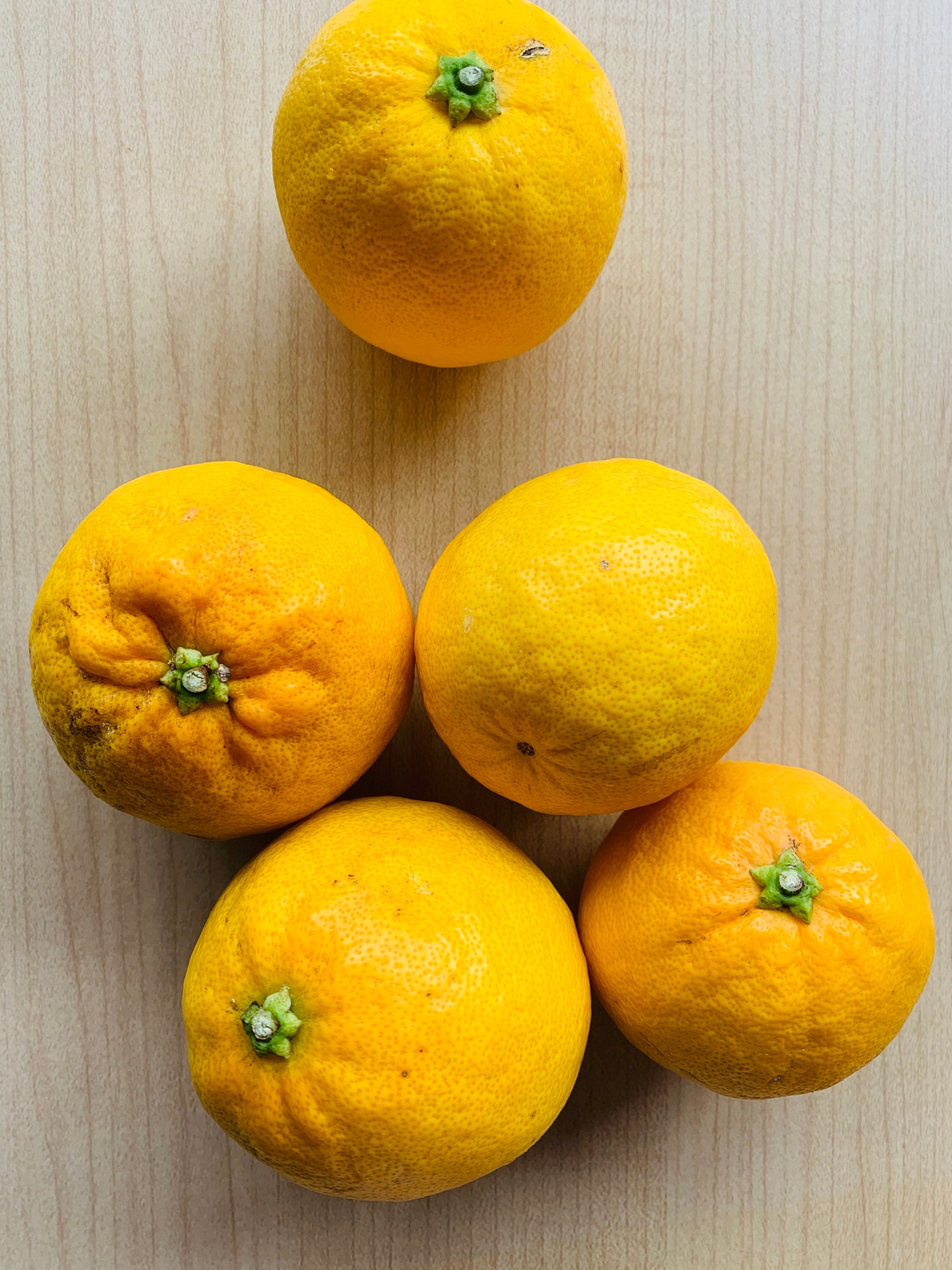 2025年産 静岡県産レモネード 2.5㎏【生で食べられるレモン】果物