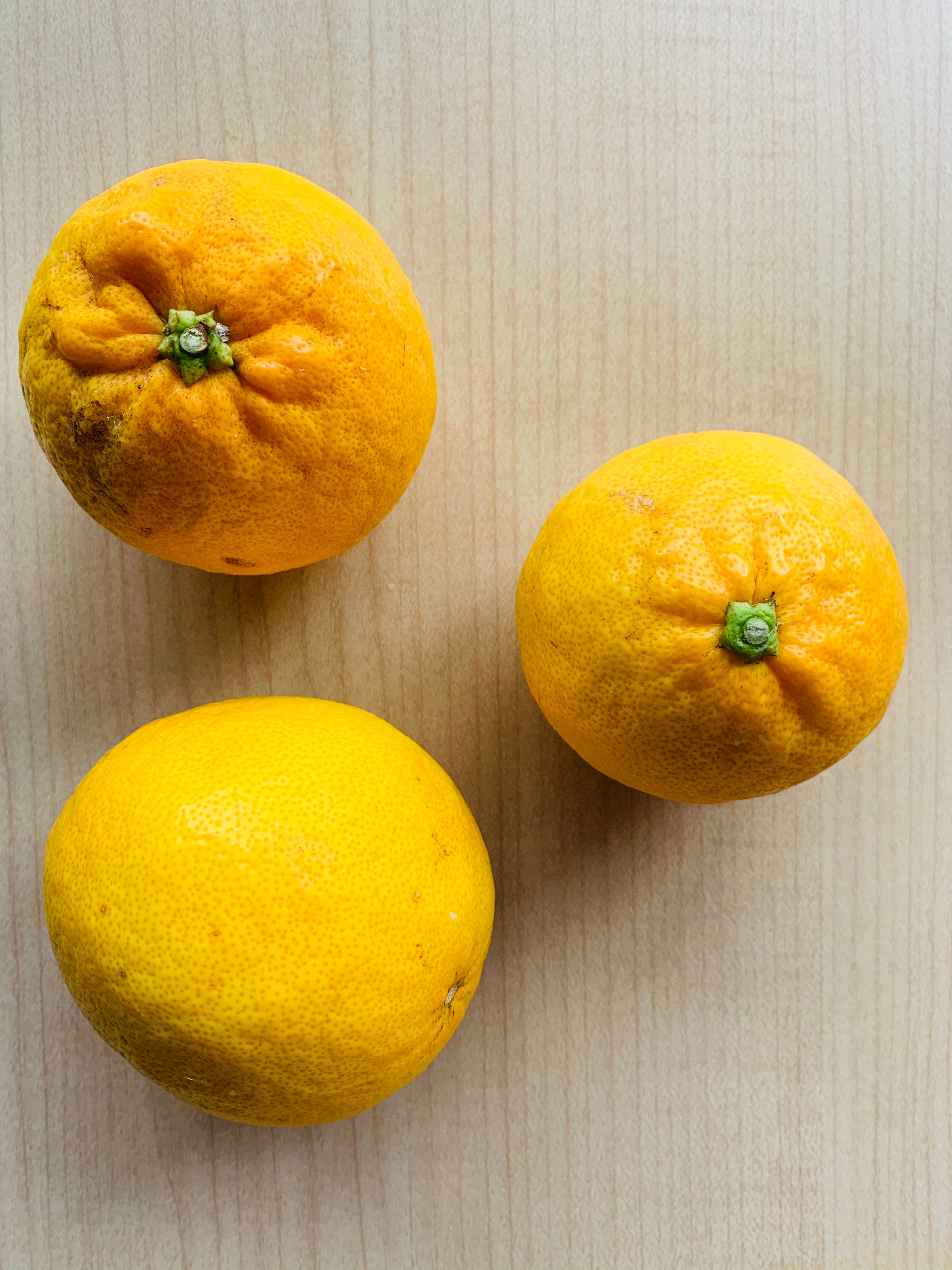 2025年産 静岡県産レモネード 2.5㎏【生で食べられるレモン】果物