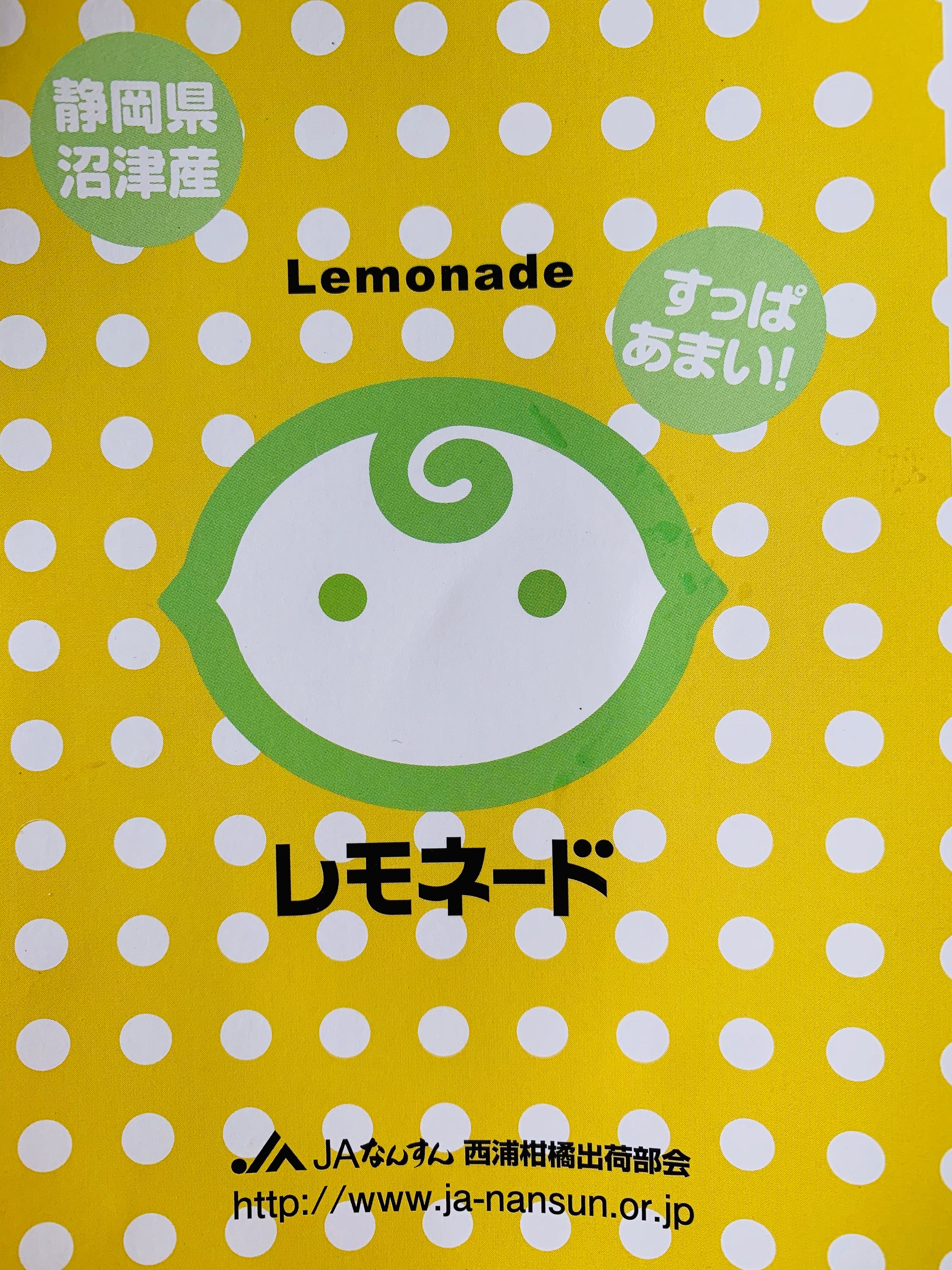 2025年産 静岡県産レモネード 2.5㎏【生で食べられるレモン】果物
