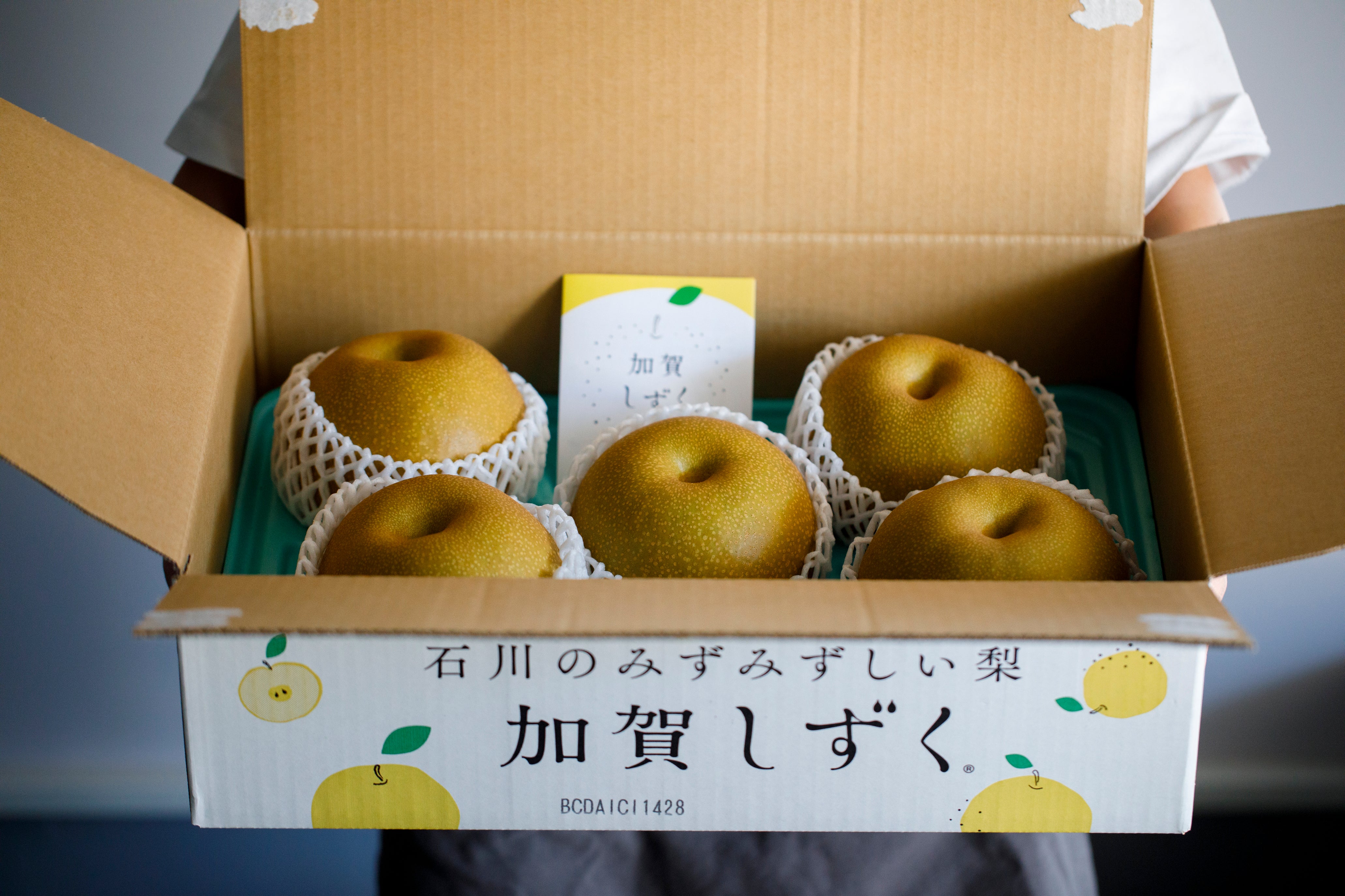 【予約販売】2025年度産 石川県産加賀しずくのお取り寄せ販売