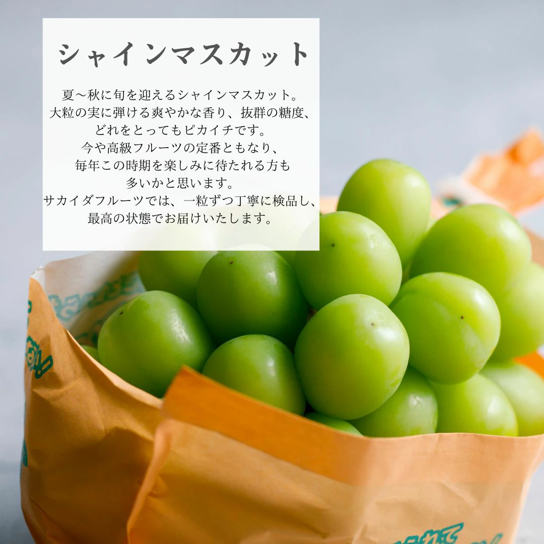 3種のフルーツ詰合せ 【夏】