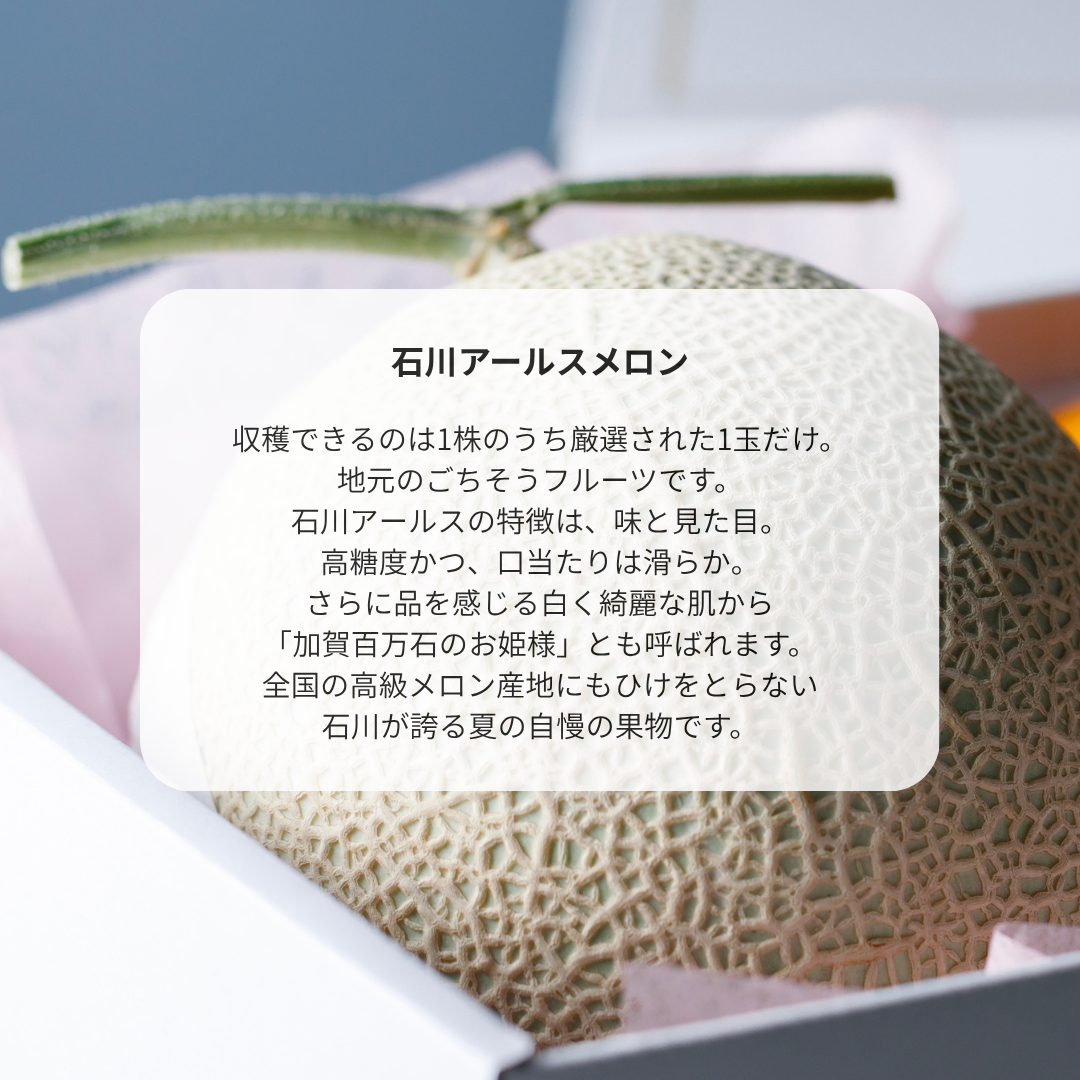 3種のフルーツ詰合せ 【夏】