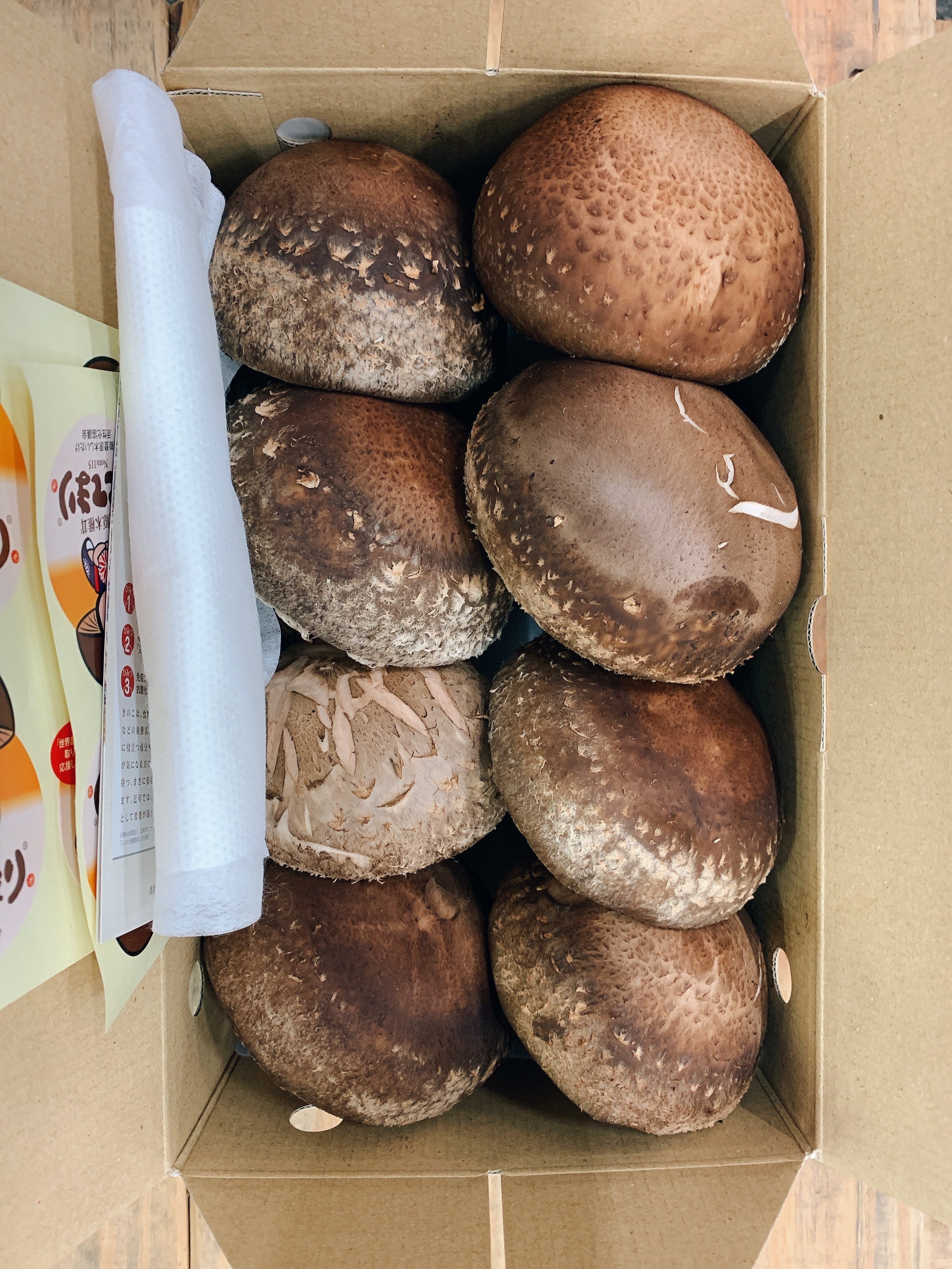 最高級「のとてまり」2025年販売【送料無料】