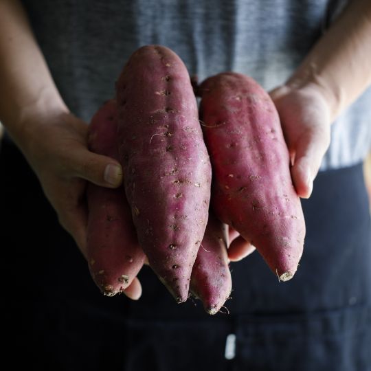 五郎島金時さつまいも通販,お取り寄せセット