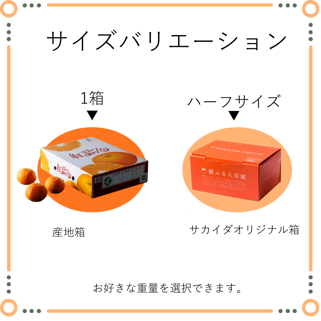 紅マドンナ
