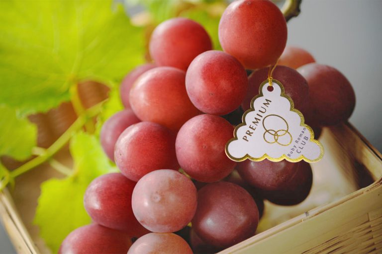 〈2025年〉ルビーロマン