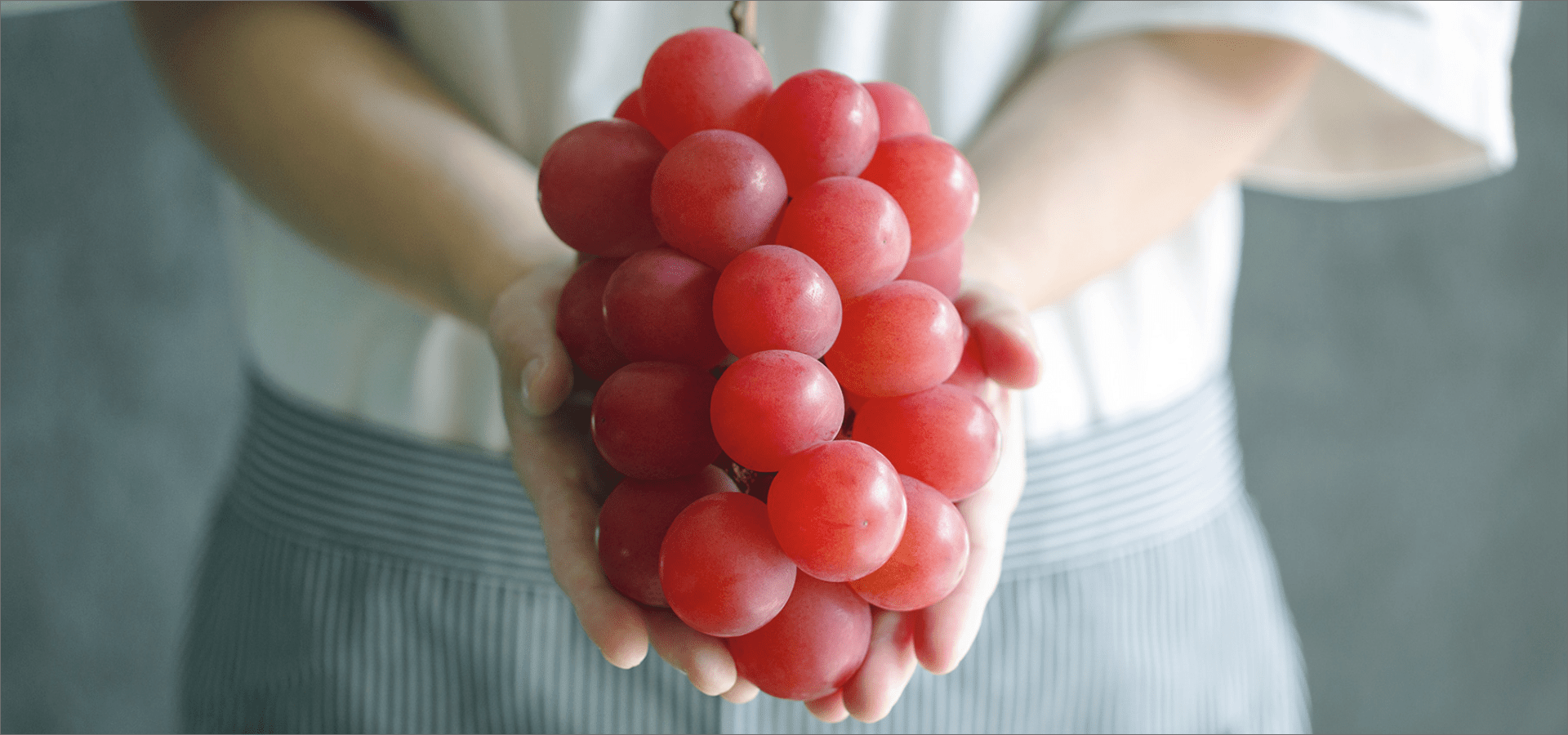 〈2025年〉ルビーロマン