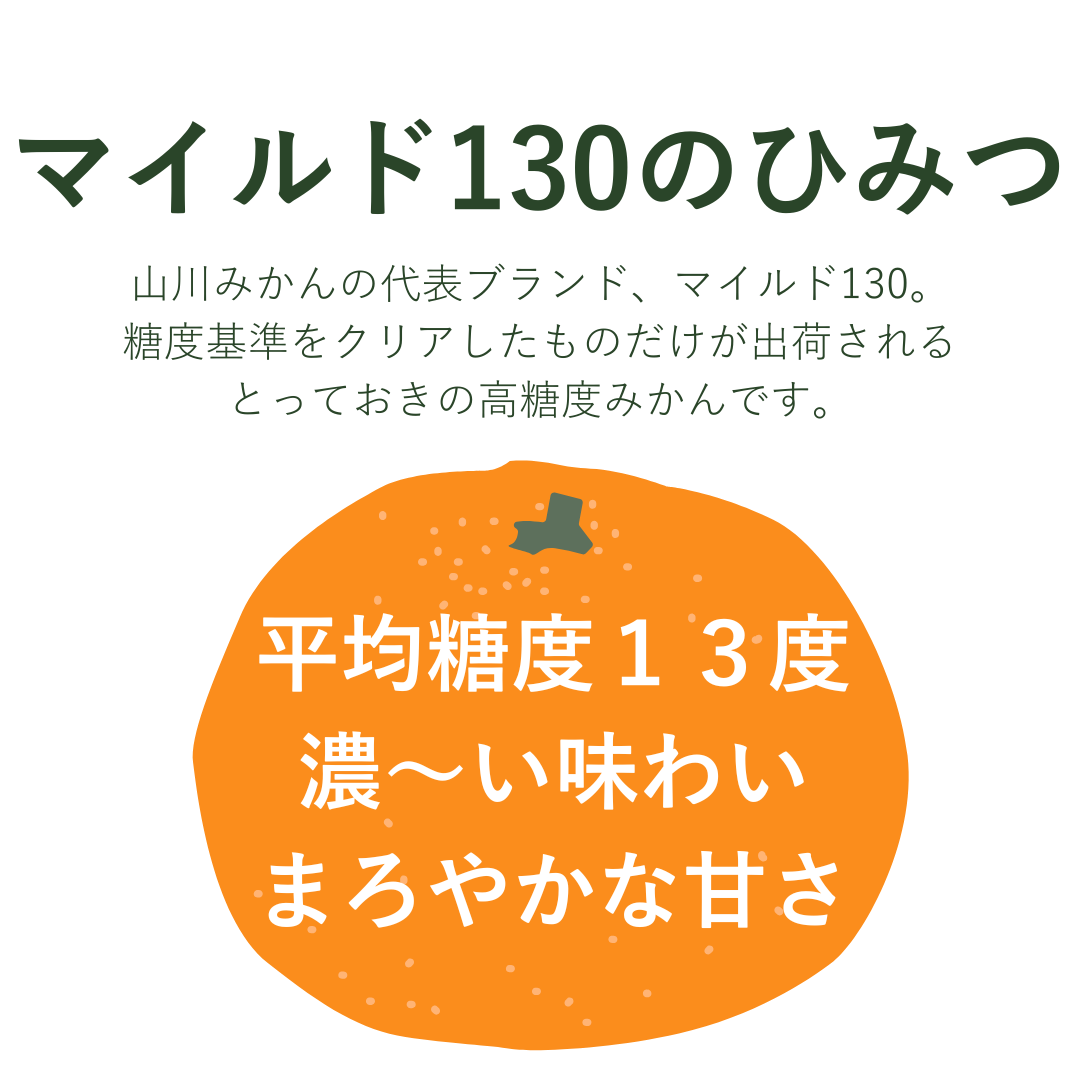2026 山川みかんマイルド130