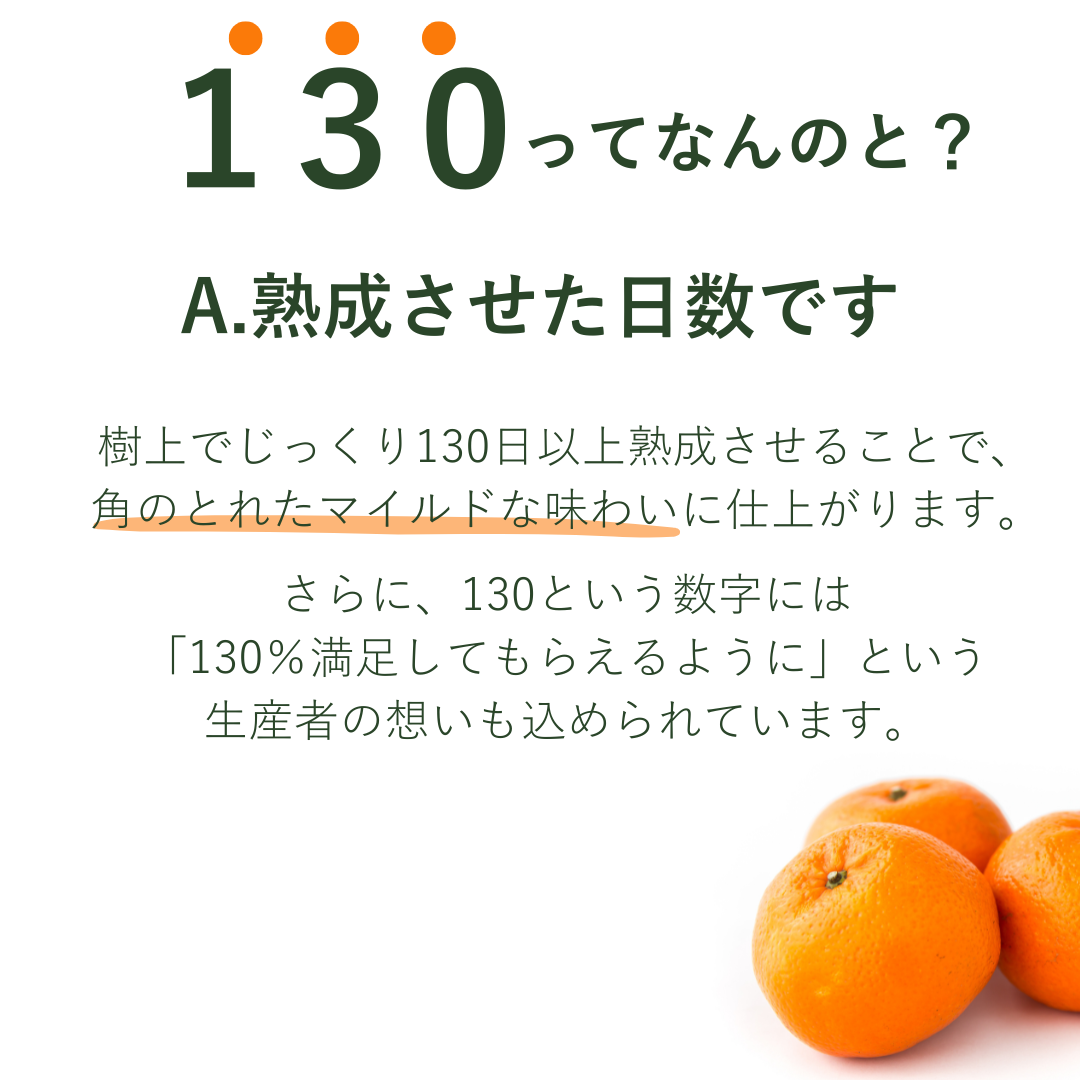 2026 山川みかんマイルド130