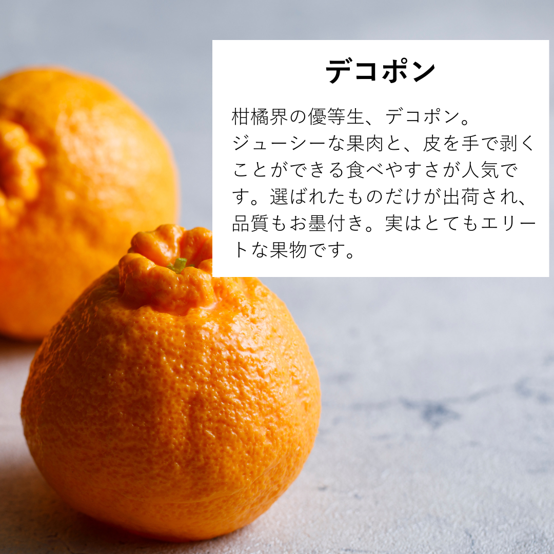 デラックスコンポ