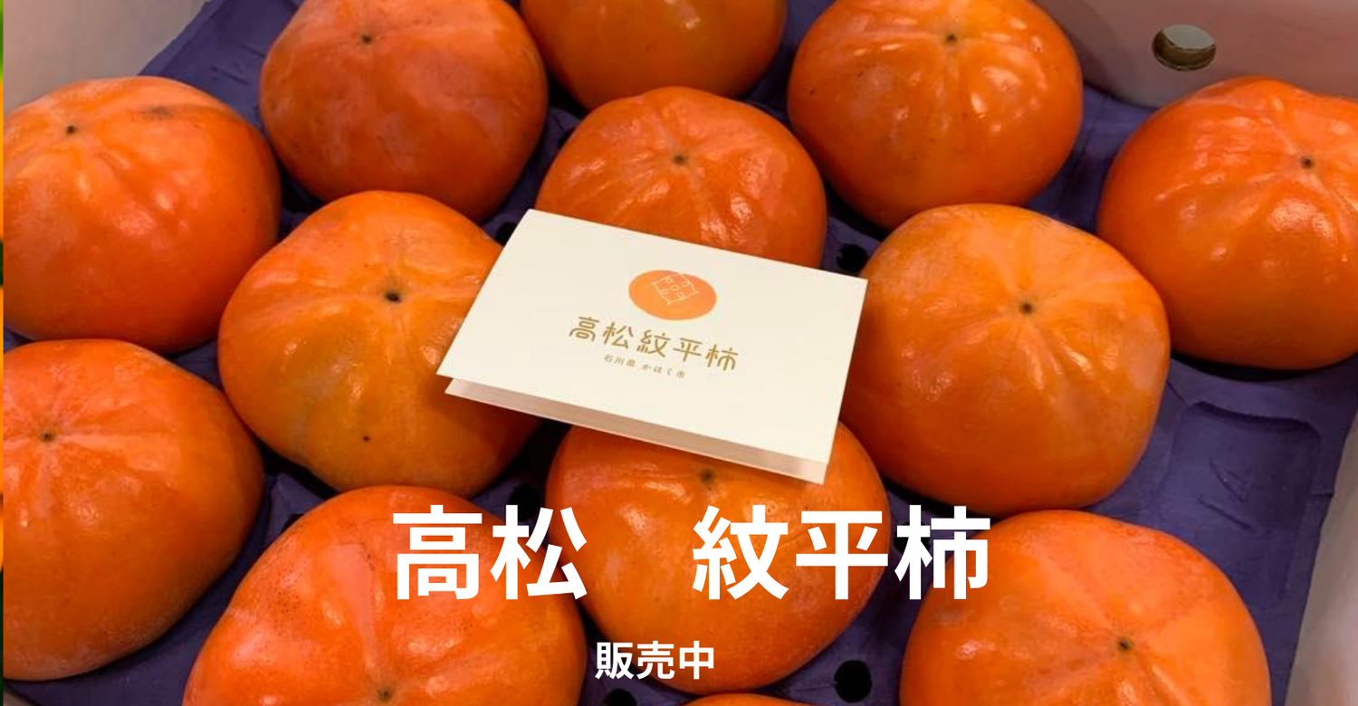 石川県産　高松紋平柿　販売中
