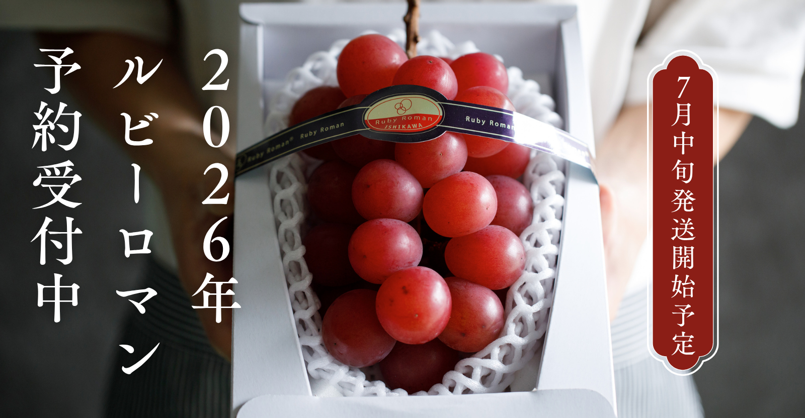 2026年ルビーロマン販売予約受付中！