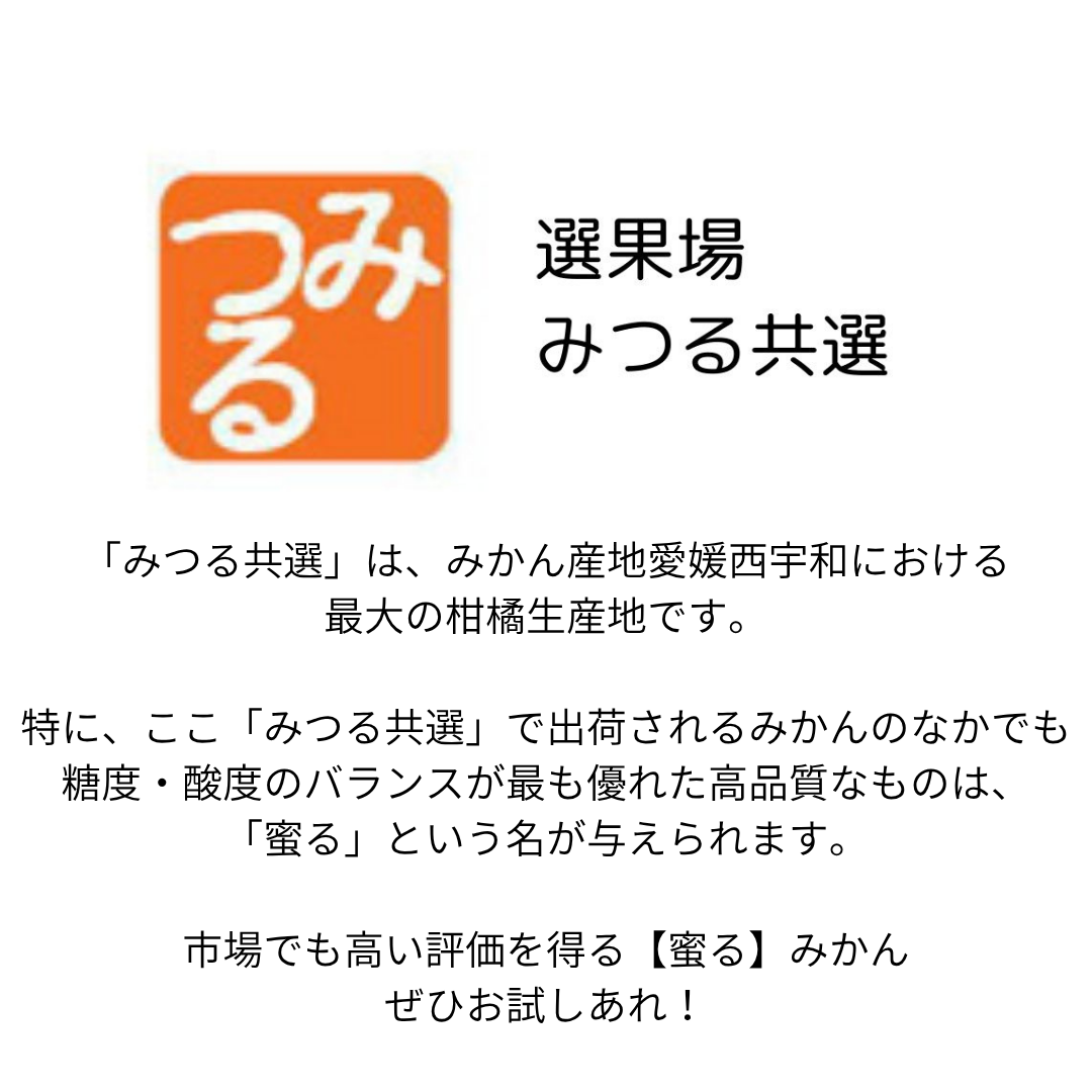 蜜るみかん