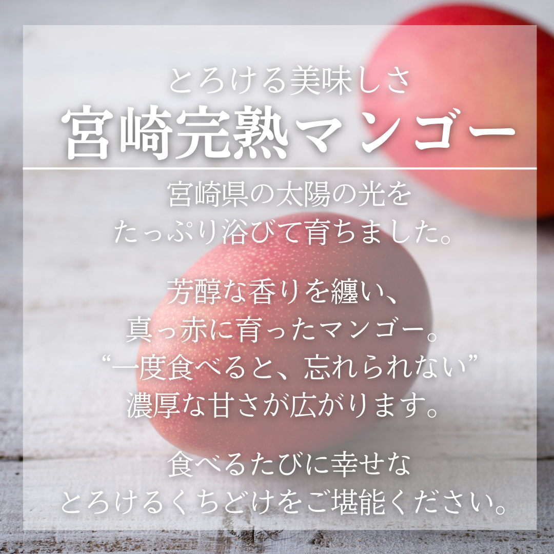 みやざき完熟マンゴー