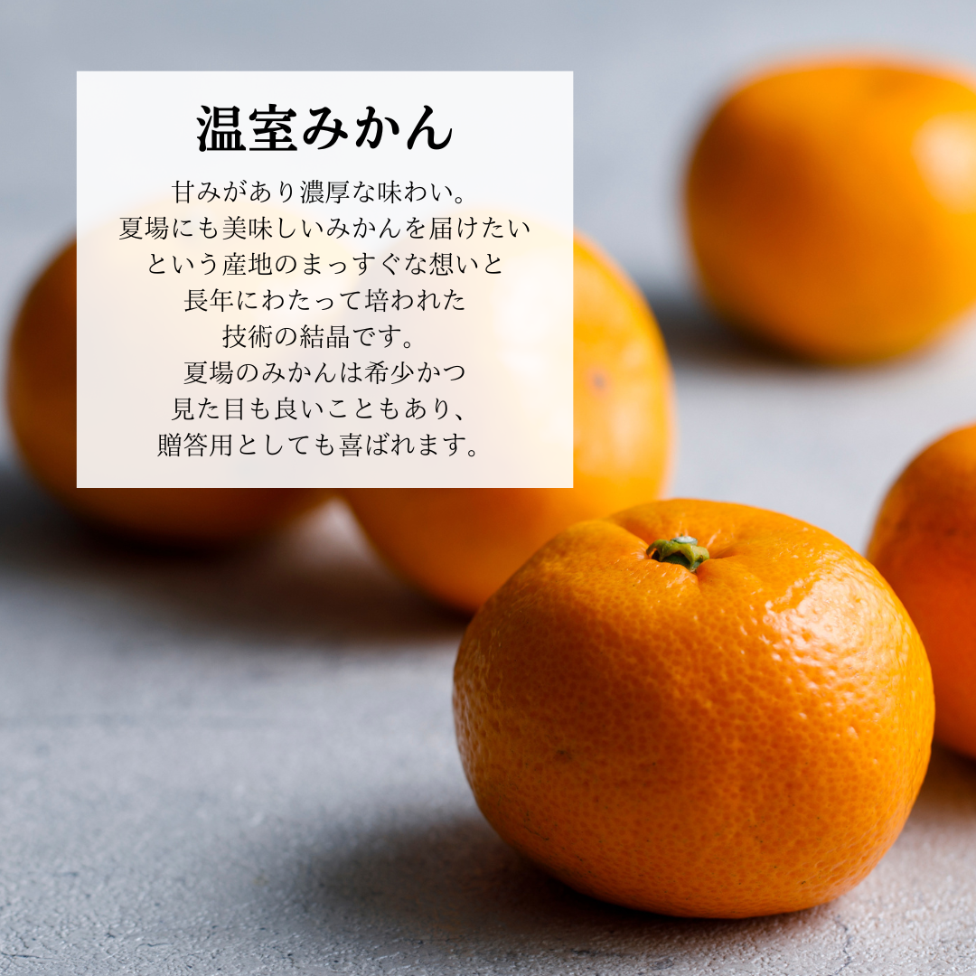 シャインマスカットとみかんの詰め合わせ