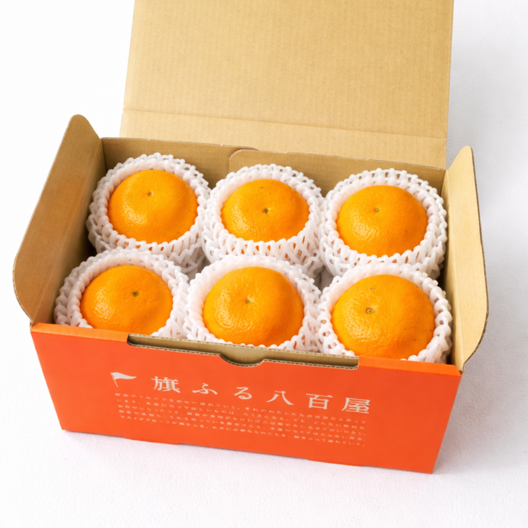 ゆめほっぺ　山口県産　オリジナル柑橘　清見×吉浦ポンカン