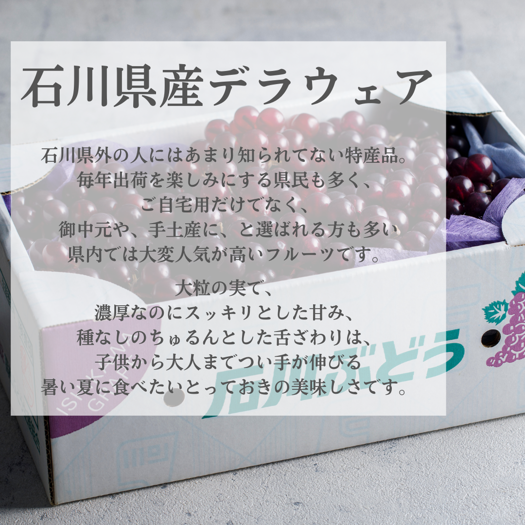 石川県産デラウェア　１箱