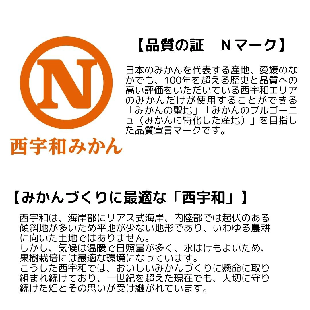 蜜るみかん