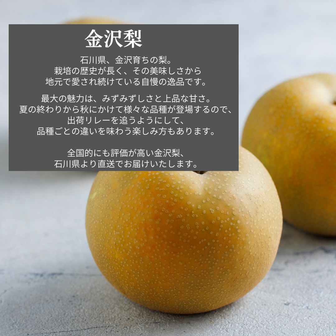 石川県直送 金沢梨