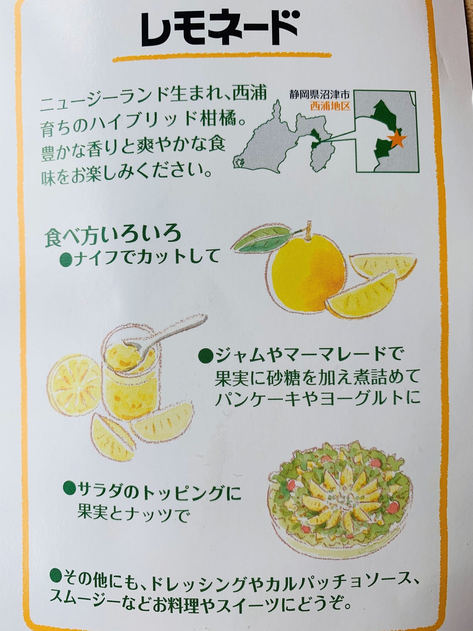 2024年産　静岡県産レモネード【生で食べられるレモン】果物