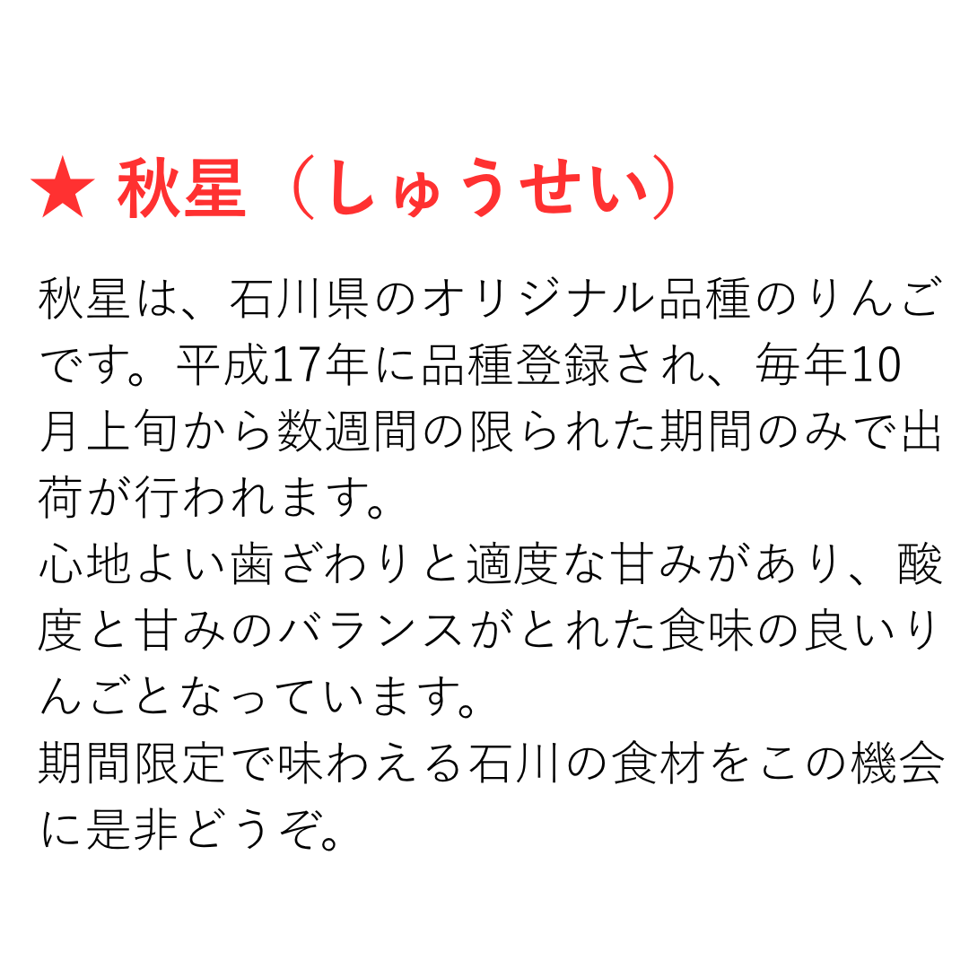 2026年度産　石川県産秋星りんご　