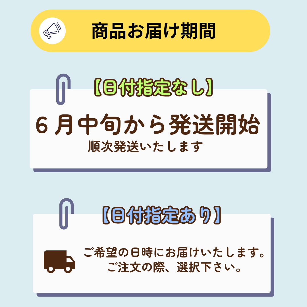 父の日　シャインマスカット入りフルーツセット