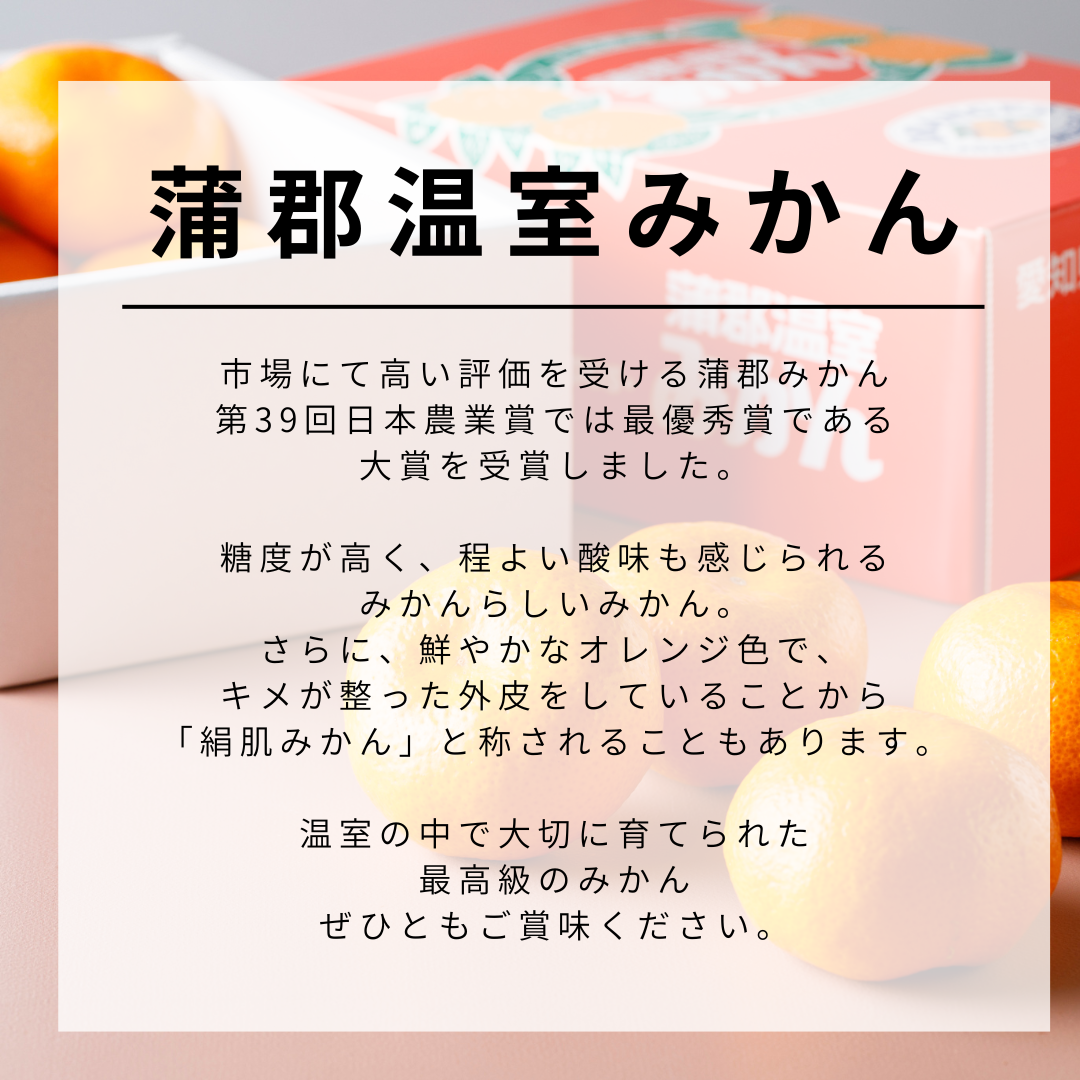 蒲郡温室みかん