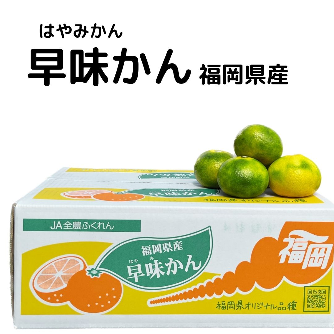 【早味かん】 福岡県産 極早生みかん
