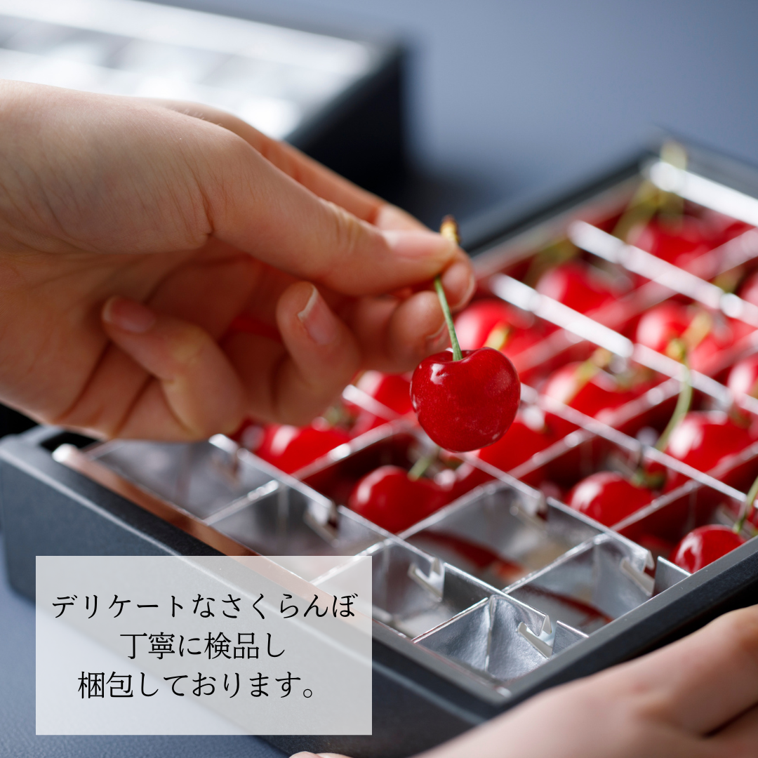 山形県産　佐藤錦　さくらんぼ